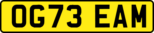 OG73EAM