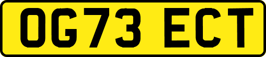 OG73ECT