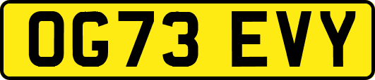 OG73EVY