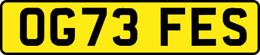 OG73FES