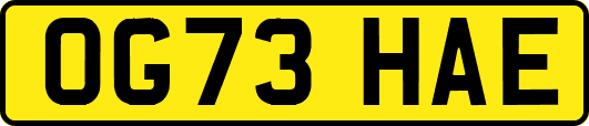 OG73HAE