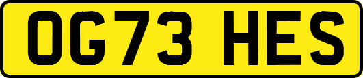 OG73HES