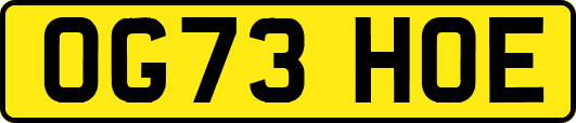 OG73HOE