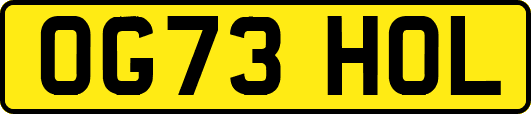 OG73HOL