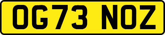 OG73NOZ