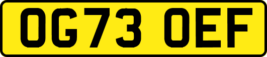 OG73OEF