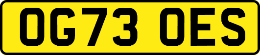 OG73OES