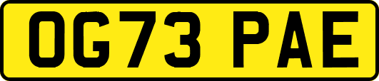 OG73PAE