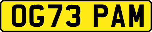 OG73PAM