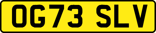 OG73SLV