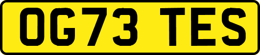 OG73TES