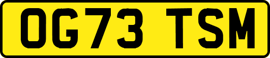OG73TSM