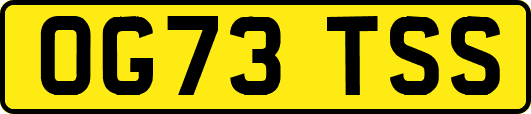 OG73TSS