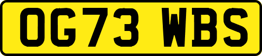 OG73WBS