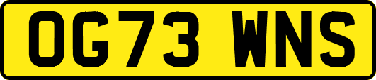 OG73WNS