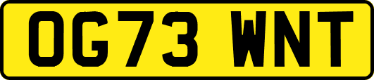 OG73WNT