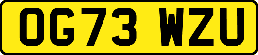 OG73WZU