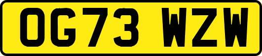 OG73WZW