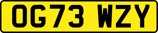 OG73WZY