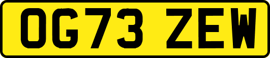 OG73ZEW