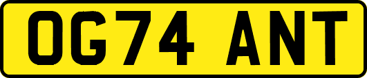 OG74ANT