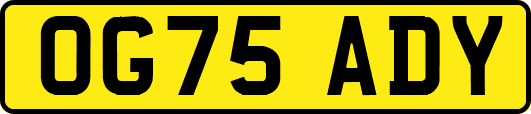 OG75ADY