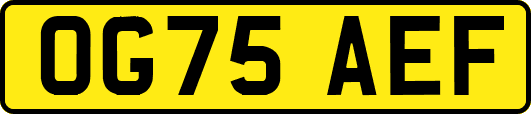 OG75AEF