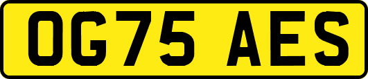 OG75AES