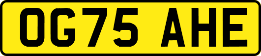 OG75AHE