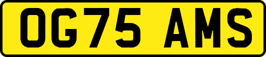 OG75AMS