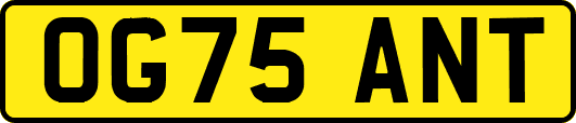 OG75ANT