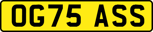 OG75ASS
