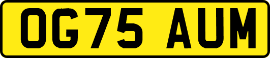 OG75AUM