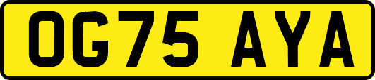 OG75AYA
