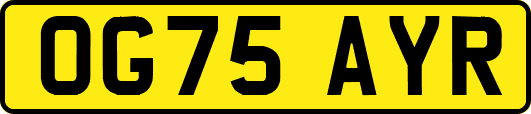 OG75AYR