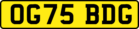 OG75BDG