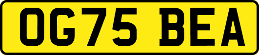 OG75BEA