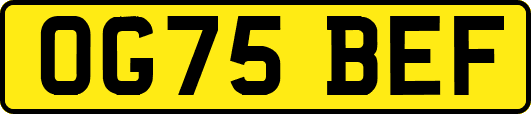 OG75BEF