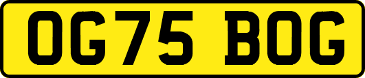 OG75BOG