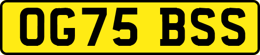 OG75BSS