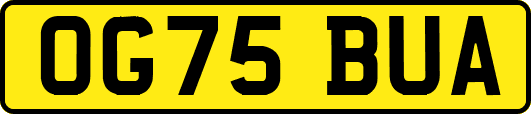 OG75BUA