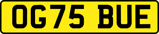 OG75BUE
