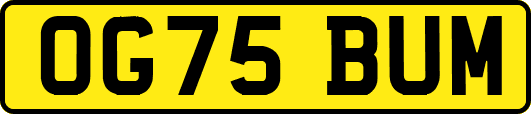OG75BUM