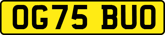 OG75BUO