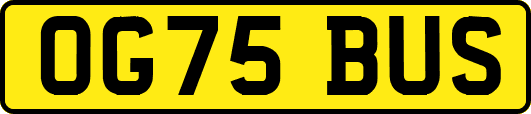 OG75BUS