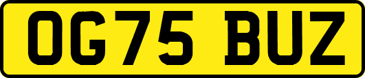 OG75BUZ