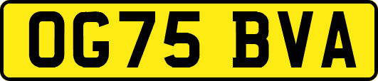 OG75BVA