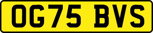 OG75BVS
