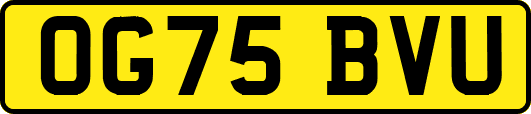 OG75BVU