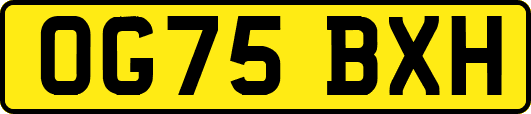 OG75BXH